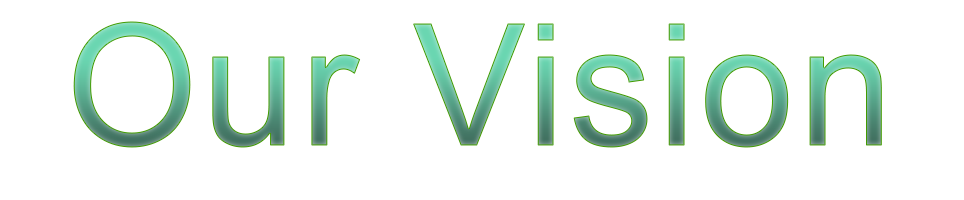 vision